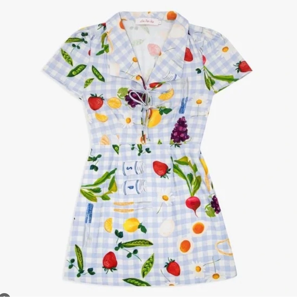 Lisa Says Gah Picnic Alfresco Alexa Shirt Dress